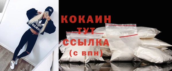 бошки Семилуки