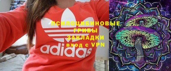 первитин Алексин