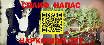 гидра Ярославль