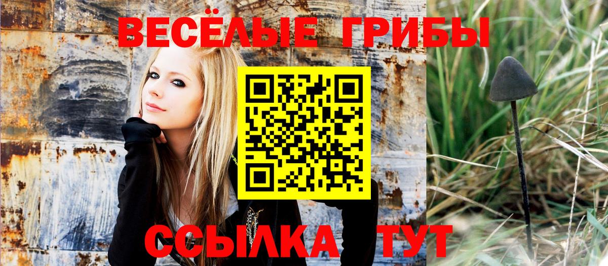 Сосновоборск  купить закладку  Псилоцибиновые грибы Cubensis  Вход с VPN  Галлюциногенные грибы мицелий 