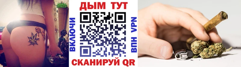 где купить наркоту  Сосновоборск  Конопля сатива 