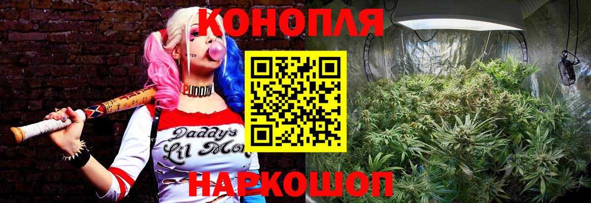Конопля сатива  Канабис марихуана  Шишки марихуана сатива  Бошки марихуана SATIVA & INDICA  Сосновоборск  Вход с VPN 